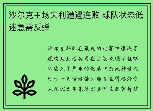 沙尔克主场失利遭遇连败 球队状态低迷急需反弹
