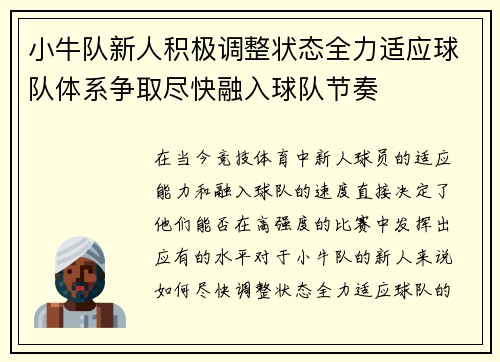 小牛队新人积极调整状态全力适应球队体系争取尽快融入球队节奏