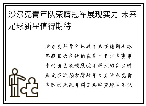 沙尔克青年队荣膺冠军展现实力 未来足球新星值得期待