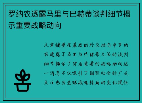 罗纳农透露马里与巴赫蒂谈判细节揭示重要战略动向
