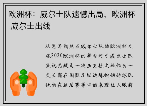 欧洲杯：威尔士队遗憾出局，欧洲杯 威尔士出线