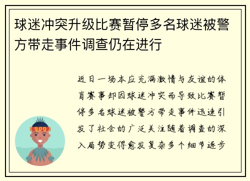 球迷冲突升级比赛暂停多名球迷被警方带走事件调查仍在进行