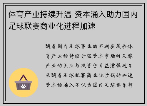 体育产业持续升温 资本涌入助力国内足球联赛商业化进程加速