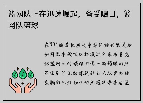 篮网队正在迅速崛起，备受瞩目，篮网队篮球